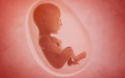 El nacimiento y las experiencias prenatales