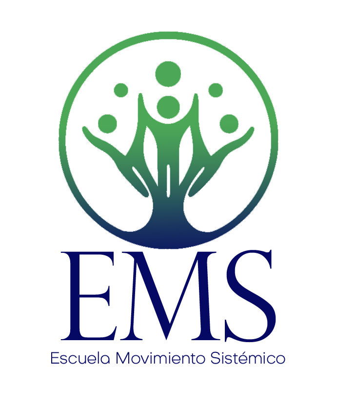 Escuela de Movimiento Sistémico